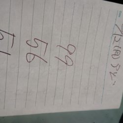 金沢八景鴨下丸 釣果