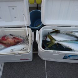 ARCADIAⅡ (アルカディアⅡ) 釣果