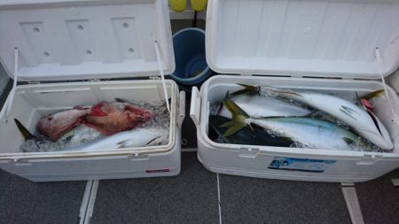 ARCADIAⅡ (アルカディアⅡ) 釣果