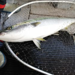 第二龍勢丸 釣果