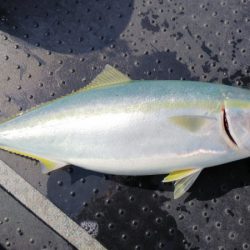 第二龍勢丸 釣果