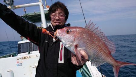 だて丸 釣果