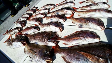 タイラバ遊漁船 ワンピース 釣果