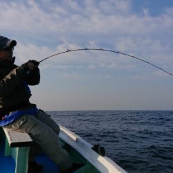 だて丸 釣果