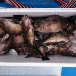 海龍丸（石川） 釣果