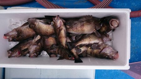 海龍丸（石川） 釣果