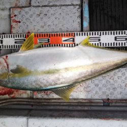 第二龍勢丸 釣果