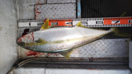 第二龍勢丸 釣果