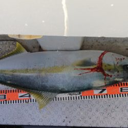 第二龍勢丸 釣果