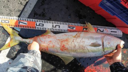 第二龍勢丸 釣果