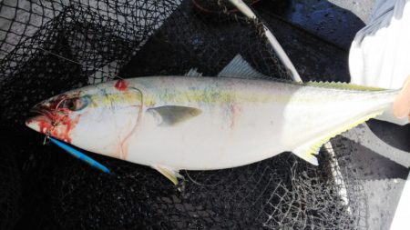 第二龍勢丸 釣果