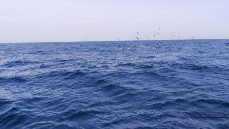 第二龍勢丸 釣果