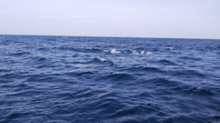 第二龍勢丸 釣果