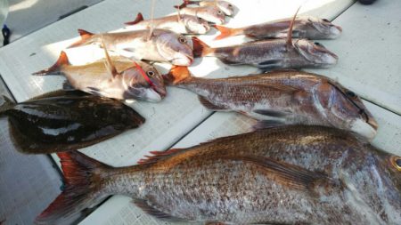 タイラバ遊漁船 ワンピース 釣果