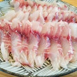 アマテラス 釣果