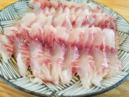 アマテラス 釣果