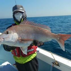 きずなまりん 釣果