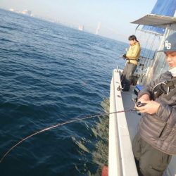 タイラバ遊漁船 ワンピース 釣果