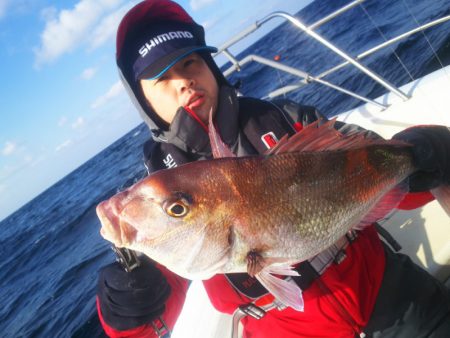 ブルドック 釣果