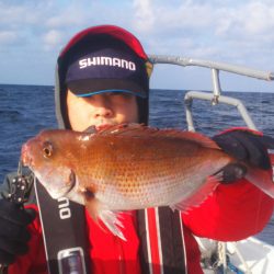 ブルドック 釣果