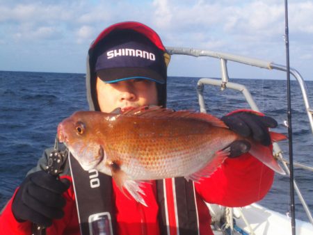 ブルドック 釣果