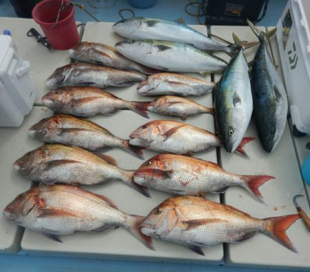 きずなまりん 釣果