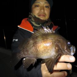 Chase（チェイス） 釣果