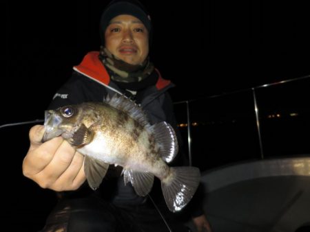 Chase（チェイス） 釣果