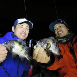 Chase（チェイス） 釣果