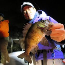 Chase（チェイス） 釣果