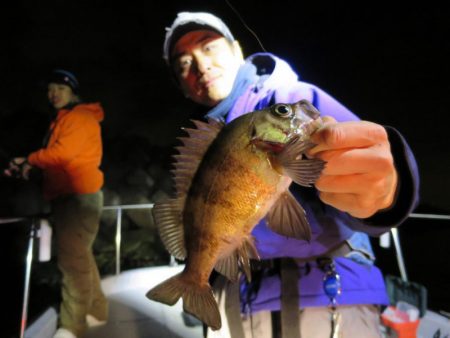 Chase（チェイス） 釣果