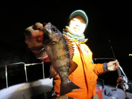 Chase（チェイス） 釣果