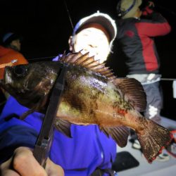 Chase（チェイス） 釣果