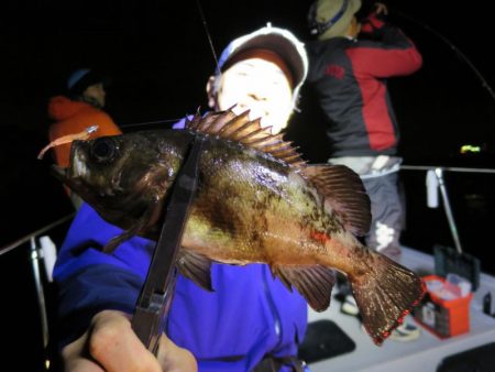 Chase（チェイス） 釣果