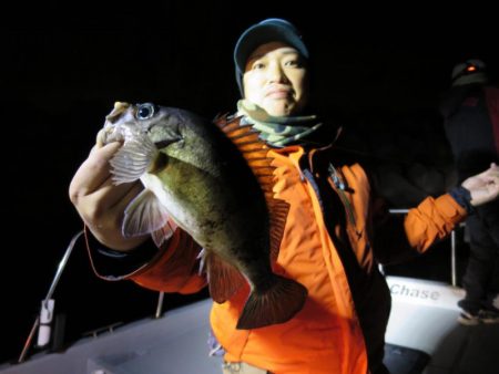 Chase（チェイス） 釣果