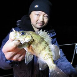 Chase（チェイス） 釣果