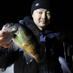 Chase（チェイス） 釣果