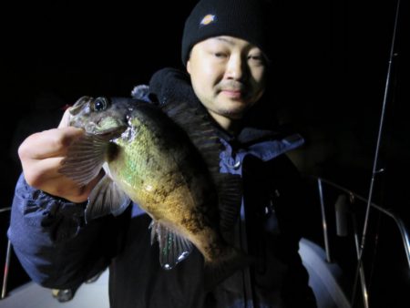 Chase（チェイス） 釣果