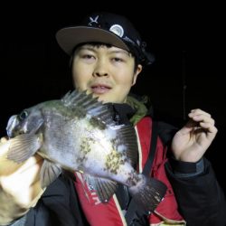 Chase（チェイス） 釣果