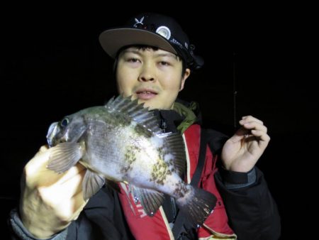 Chase（チェイス） 釣果