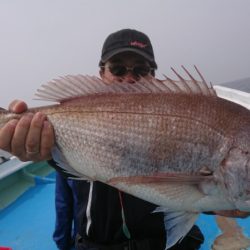 だて丸 釣果