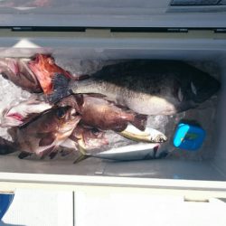 海龍丸（石川） 釣果