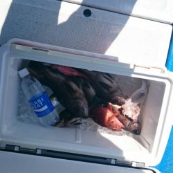 海龍丸（石川） 釣果