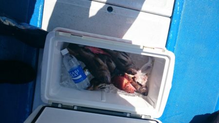 海龍丸（石川） 釣果