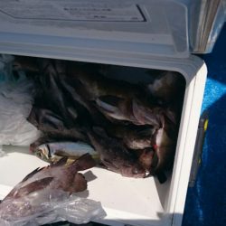 海龍丸（石川） 釣果
