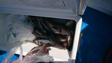 海龍丸（石川） 釣果