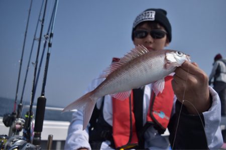 渡船屋たにぐち 釣果