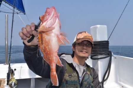 渡船屋たにぐち 釣果