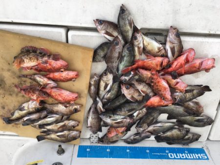 末広丸(熊本) 釣果