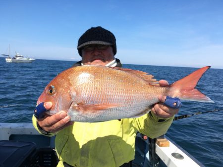 第二八坂丸 釣果